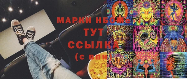 прущие грибы Заводоуковск