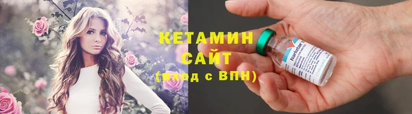 прущие грибы Заводоуковск