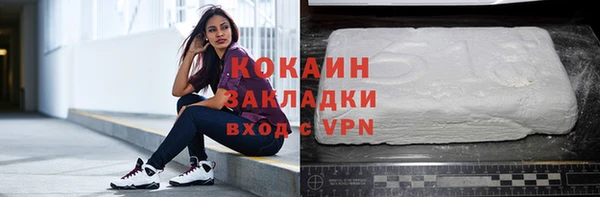 прущие грибы Заводоуковск
