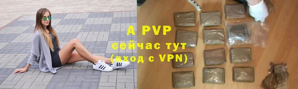 прущие грибы Заводоуковск