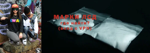 прущие грибы Заводоуковск