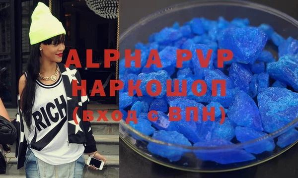 прущие грибы Заводоуковск
