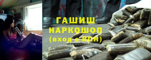 прущие грибы Заводоуковск