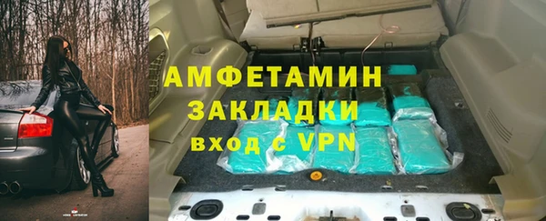 прущие грибы Заводоуковск