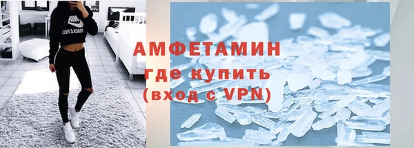 прущие грибы Заводоуковск